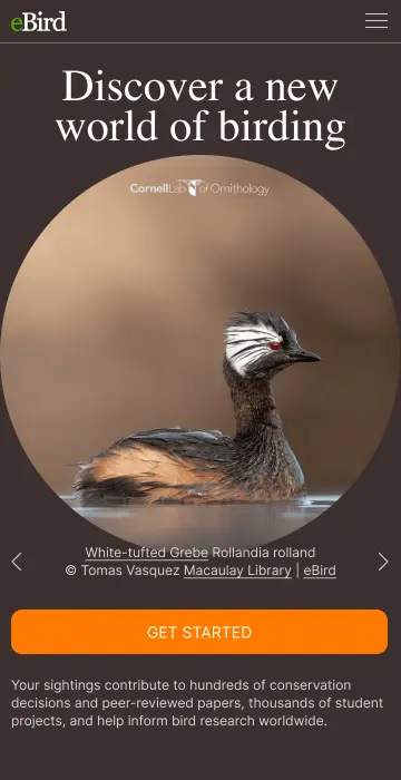 eBird mobile