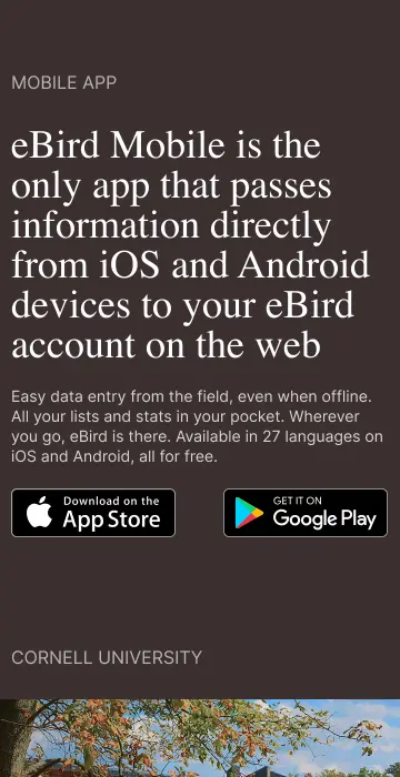 eBird mobile