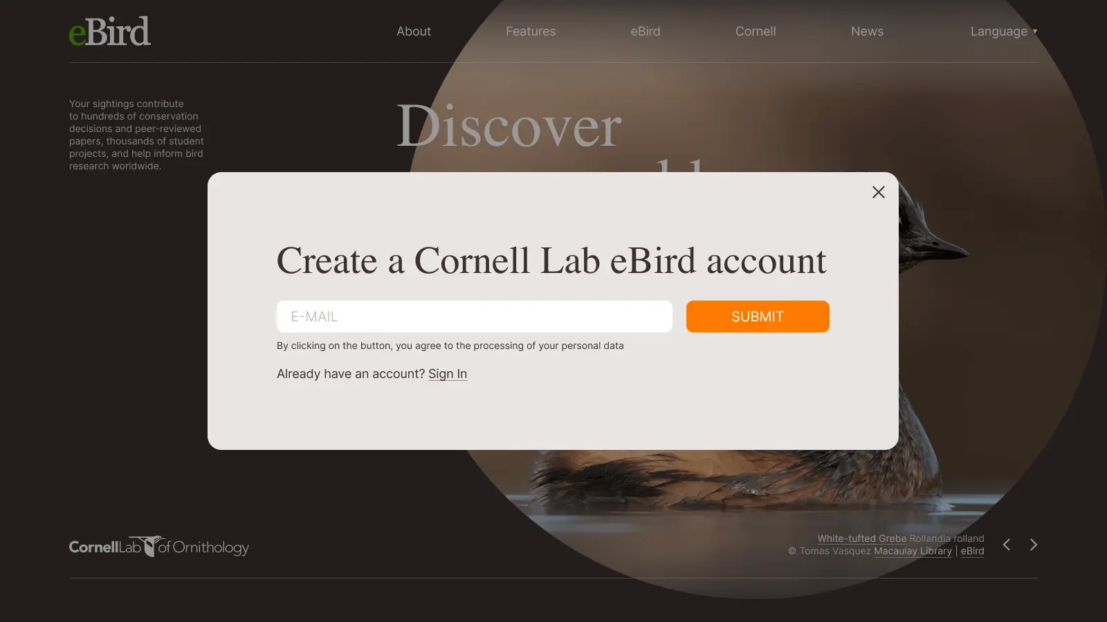 eBird screen